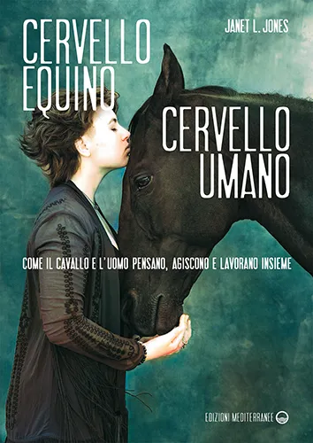 Cervello equino cervello umano