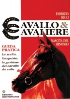 Cavallo e cavaliere