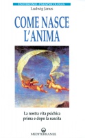 Come nasce l'anima